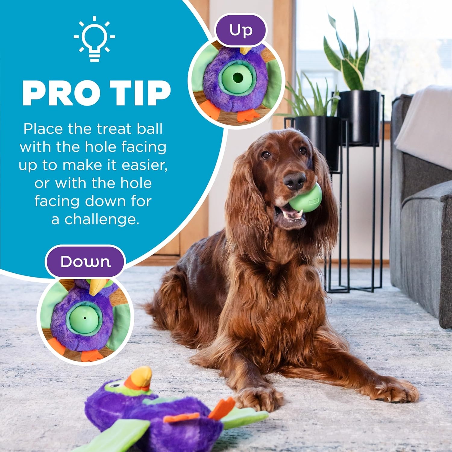image:imageOutward Hound by Nina Ottosson Stuff N Snuffle Plush Large Snuffle Ball Dog Puzzle Elephant Blue 98 inches x 59 inchesHideAblez Toucan