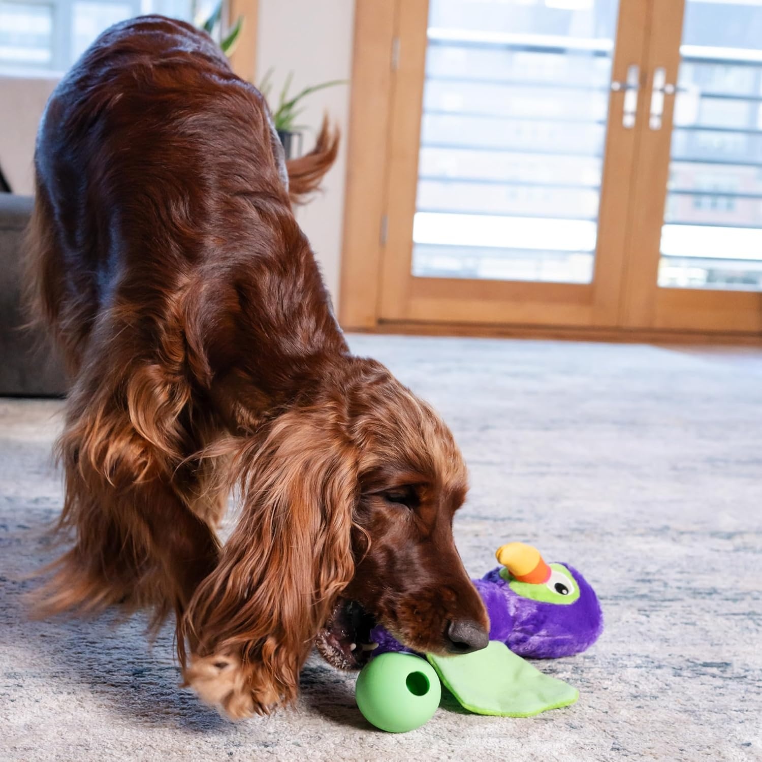 image:imageOutward Hound by Nina Ottosson Stuff N Snuffle Plush Large Snuffle Ball Dog Puzzle Elephant Blue 98 inches x 59 inchesHideAblez Toucan