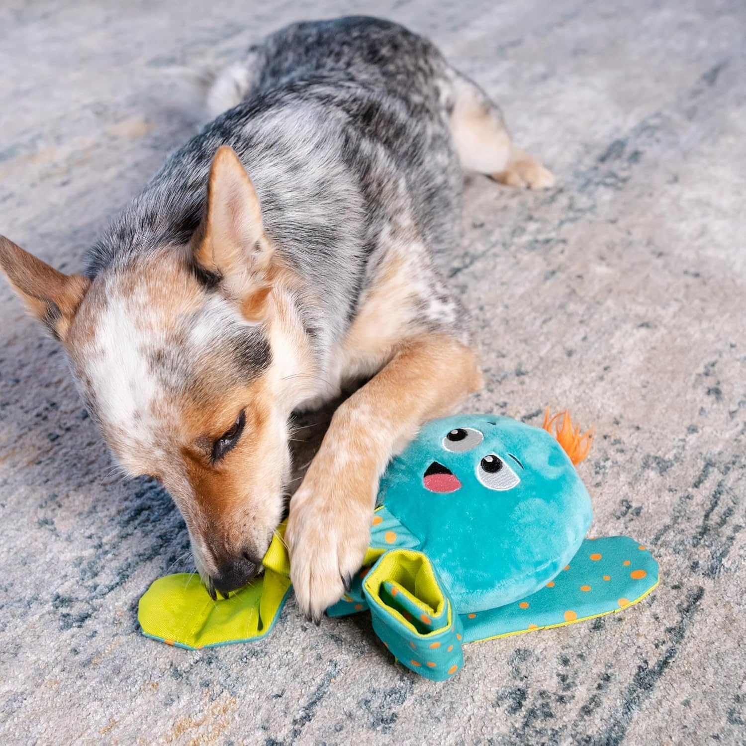image:imageOutward Hound by Nina Ottosson Stuff N Snuffle Plush Large Snuffle Ball Dog Puzzle Elephant Blue 98 inches x 59 inchesSilly Legz Octopus