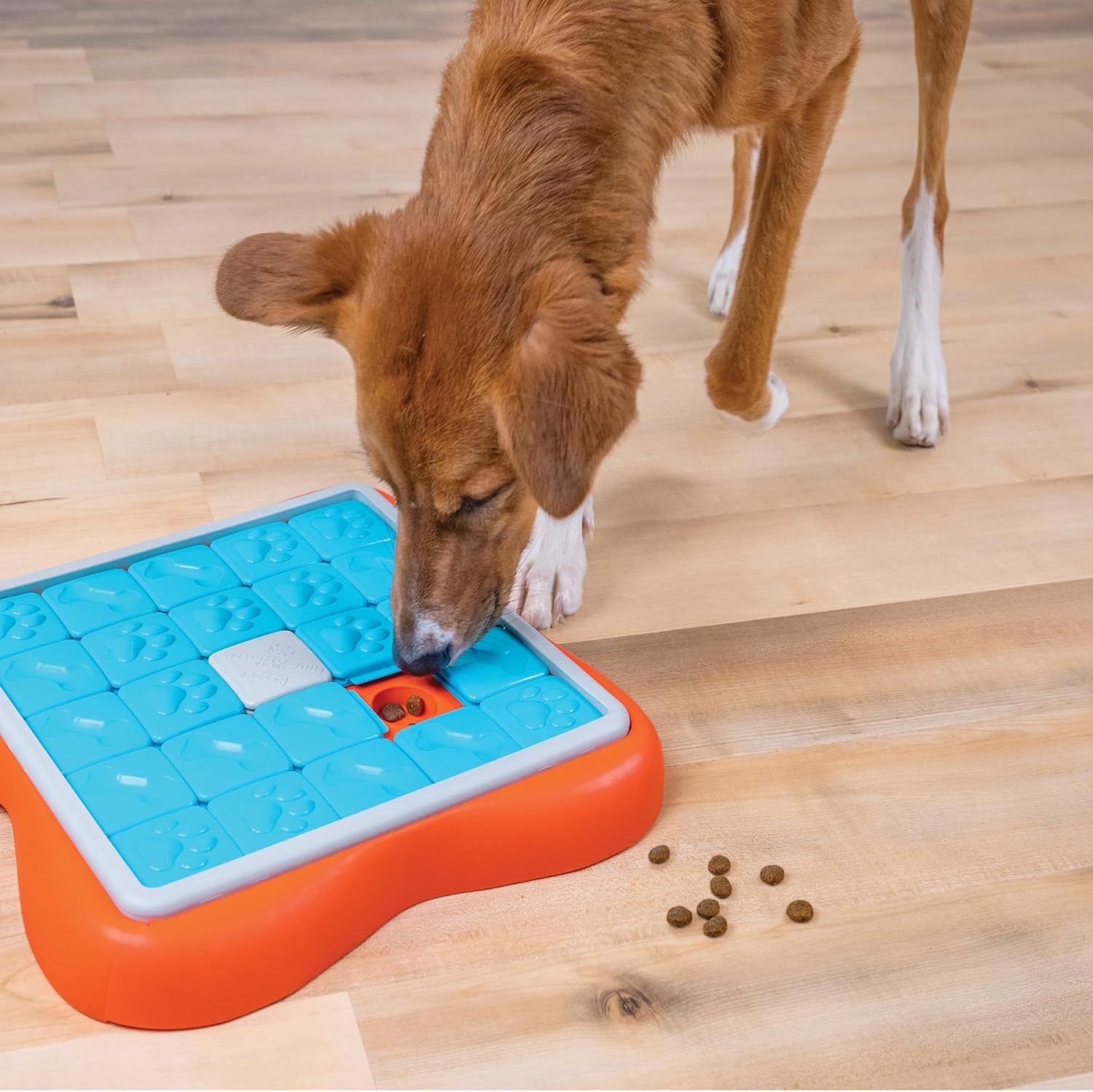 image:imageOutward Hound by Nina Ottosson Tower of Treats Level 4 Expert Dog Treat Puzzle for Enrichment OrangeChallenge Slider Orange Blue