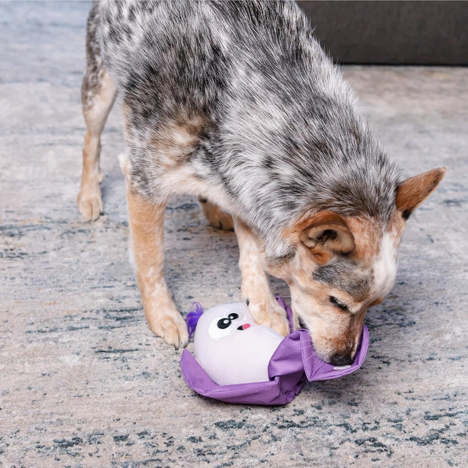 image:imageOutward Hound by Nina Ottosson Twistiez Interactive Plush Dog Treat Puzzle Monster BlueHide N Find Cauliflower