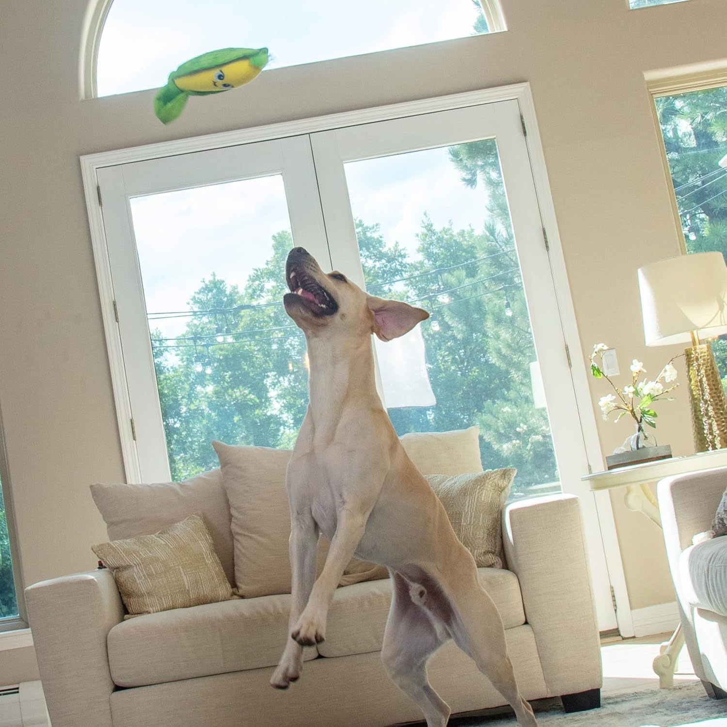 image:imageOutward Hound by Nina Ottosson Twistiez Interactive Plush Dog Treat Puzzle Monster BlueHide N Find Corn