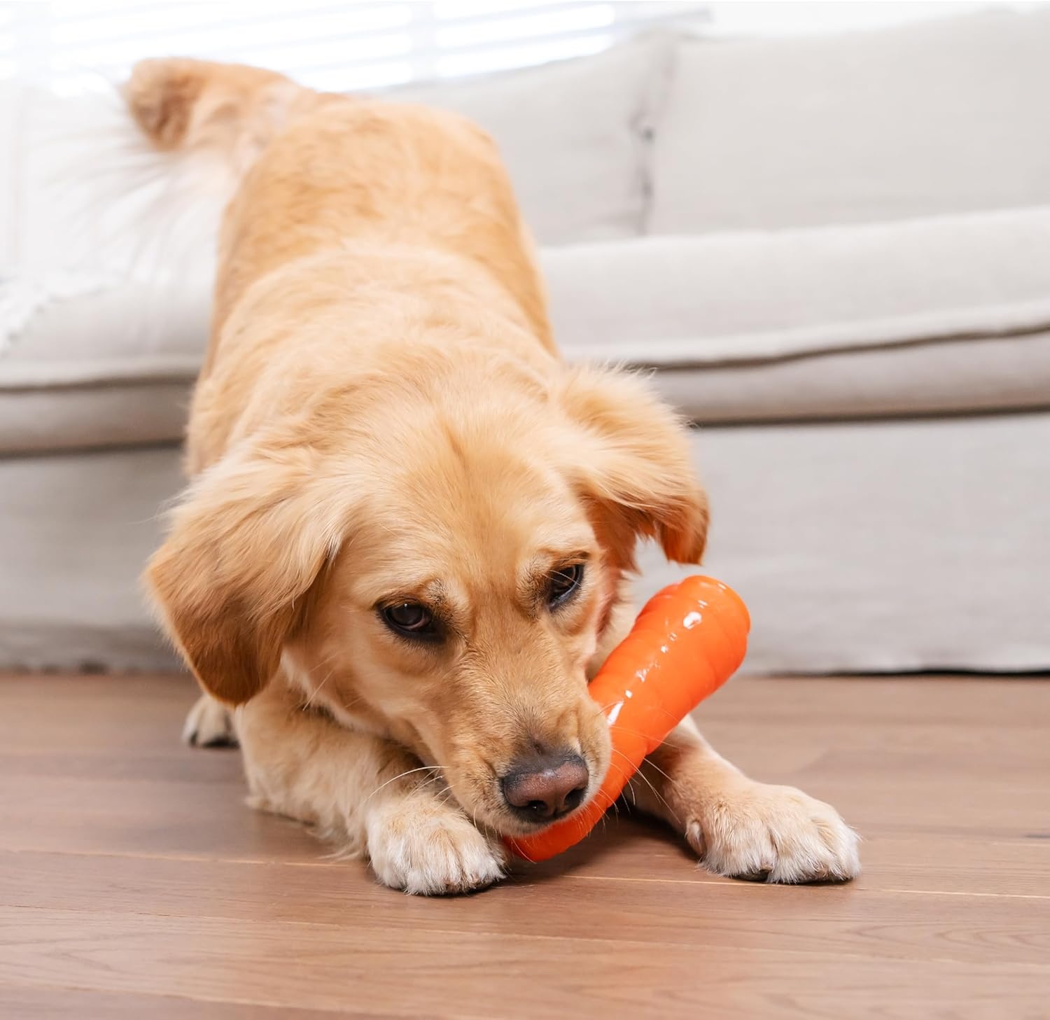 image:imageOutward Hound by Planet Dog Foodies Carrot TreatDispensing Dog Chew Toy OrangeCarrot