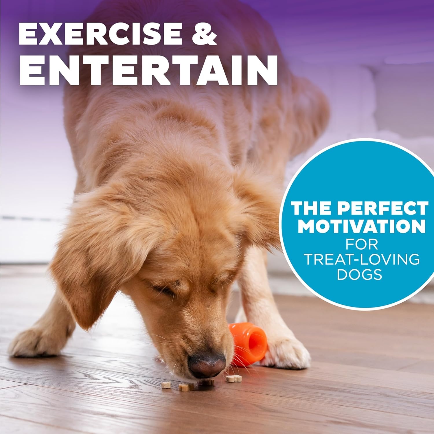 image:imageOutward Hound by Planet Dog Foodies Carrot TreatDispensing Dog Chew Toy OrangeCarrot