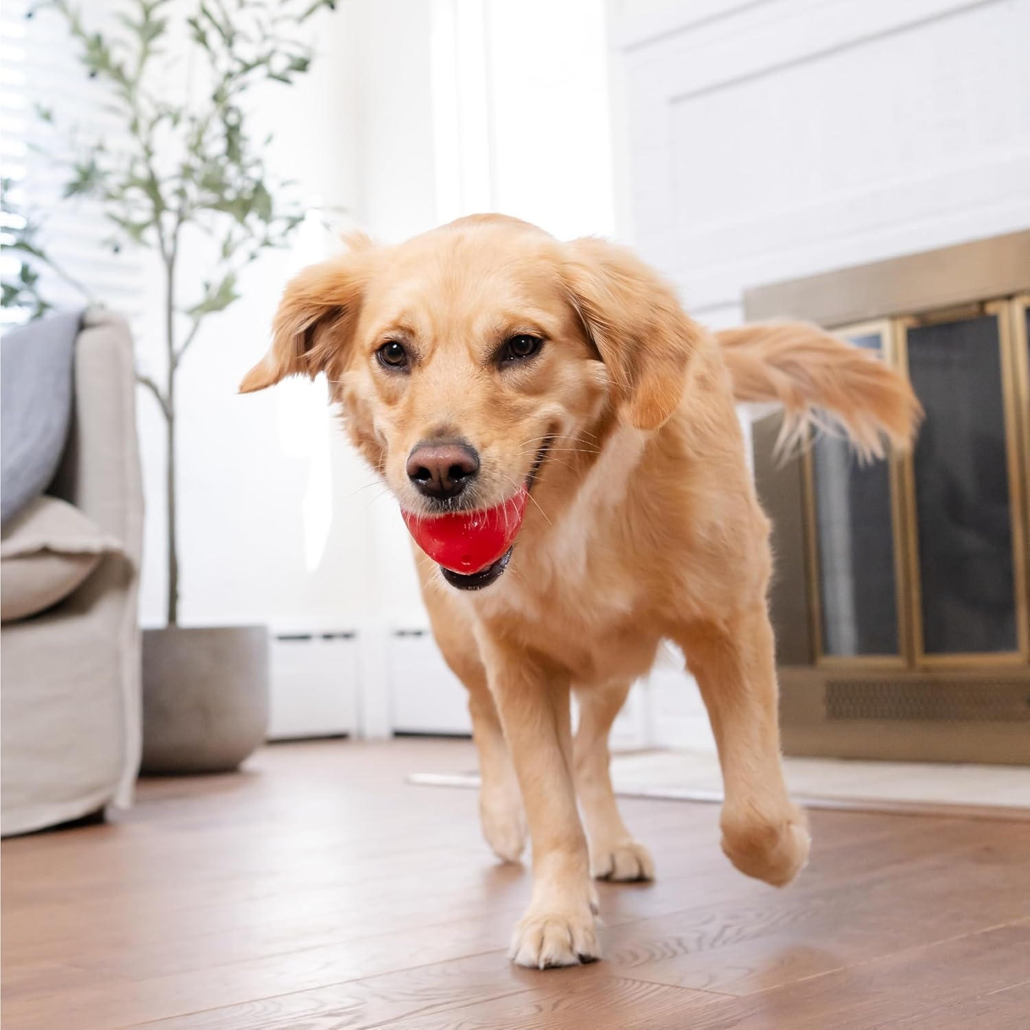 image:imageOutward Hound by Planet Dog Foodies Carrot TreatDispensing Dog Chew Toy OrangeStrawberry