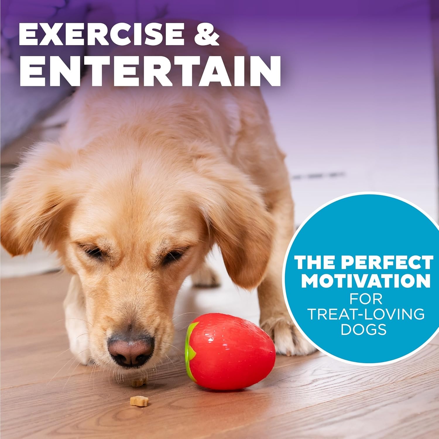 image:imageOutward Hound by Planet Dog Foodies Carrot TreatDispensing Dog Chew Toy OrangeStrawberry