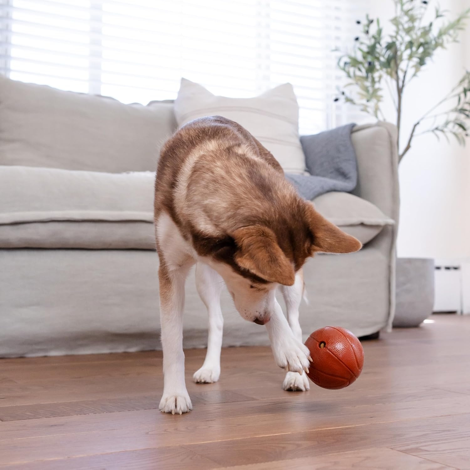 image:imageOutward Hound by Planet Dog Football Durable TreatDispensing Dog Ball Interactive Fetch Toy OrbeeTuff Mint Scented BPAFree for Indoor amp Outdoor Play BrownBasketball