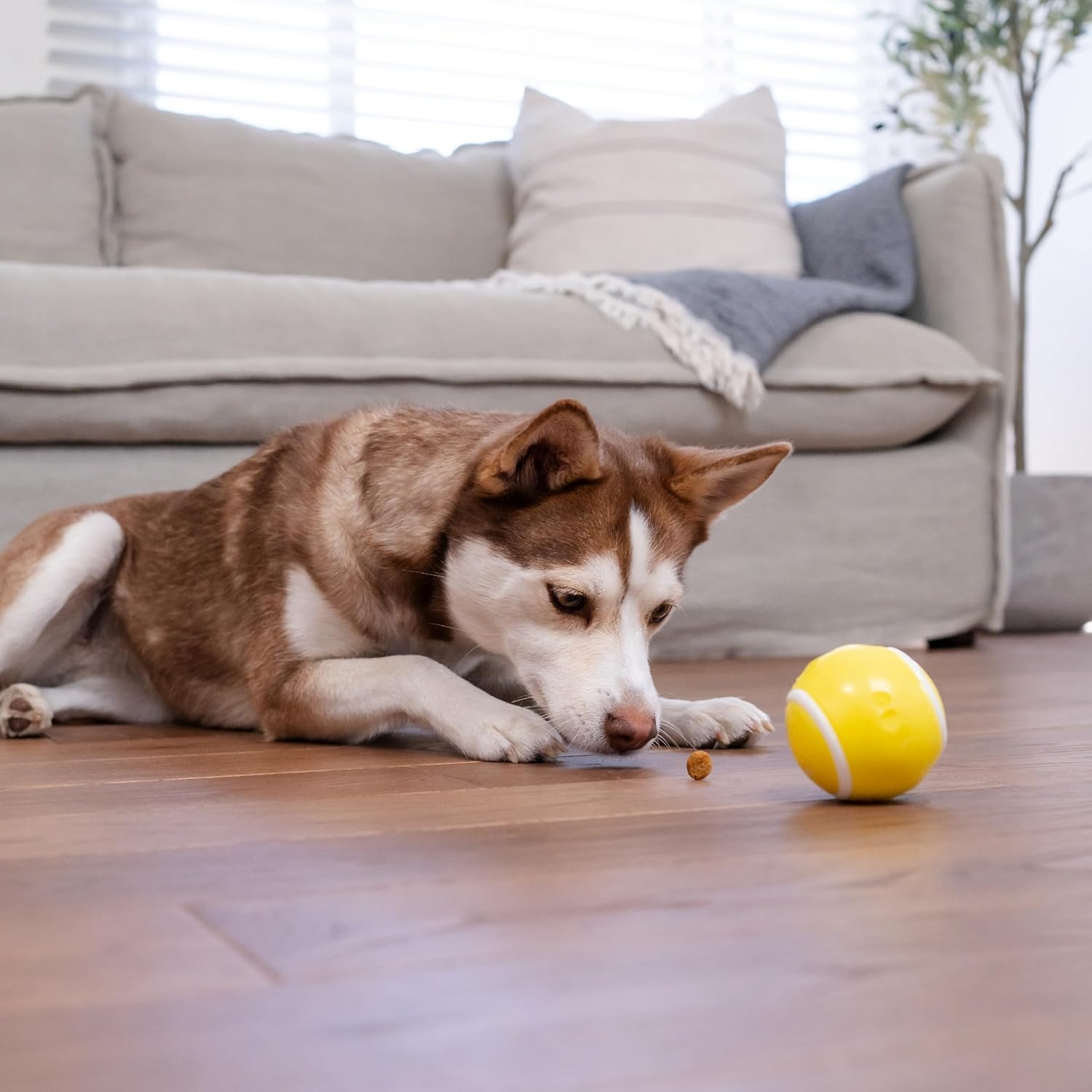 image:imageOutward Hound by Planet Dog Football Durable TreatDispensing Dog Ball Interactive Fetch Toy OrbeeTuff Mint Scented BPAFree for Indoor amp Outdoor Play BrownTennis Ball