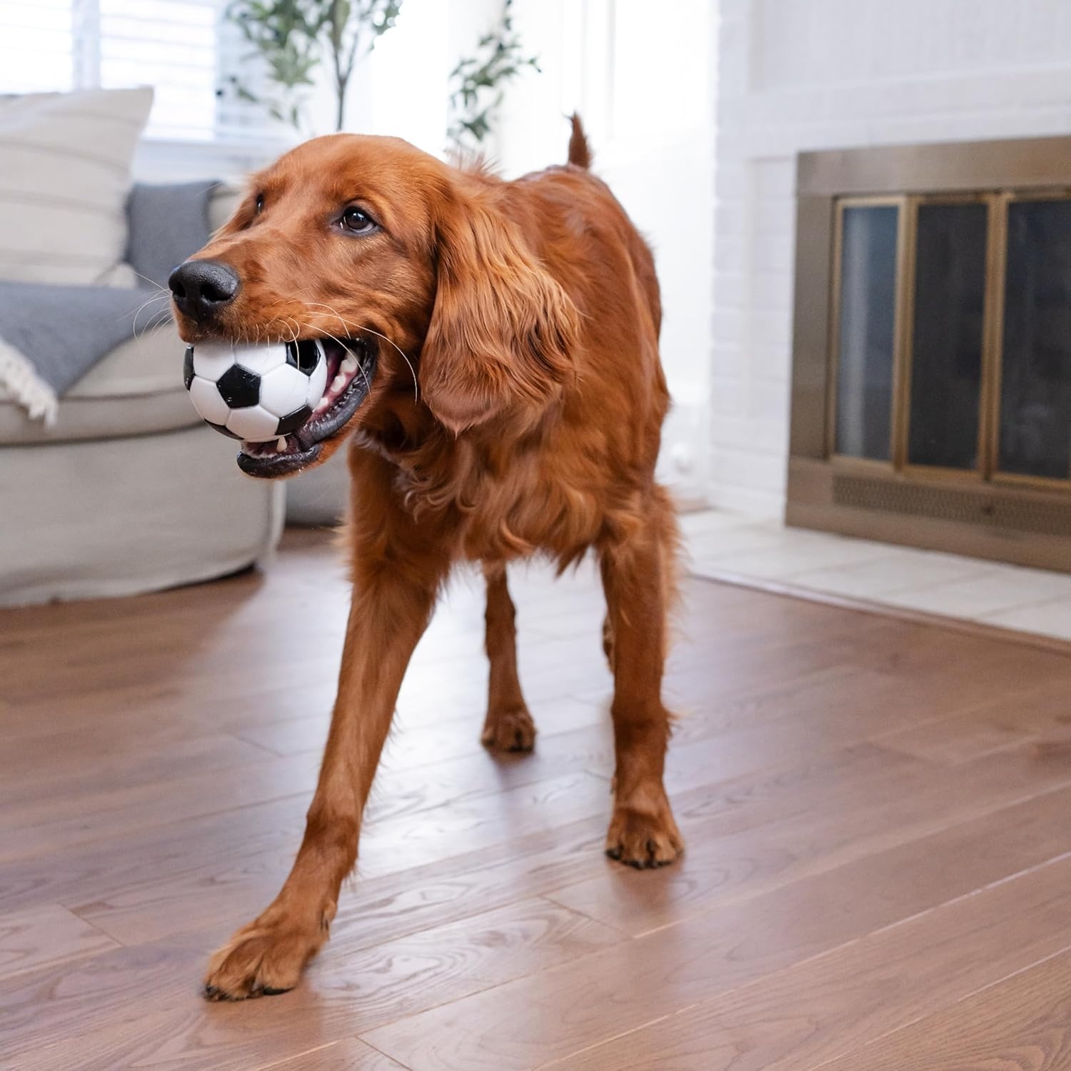 image:imageOutward Hound by Planet Dog Football Durable TreatDispensing Dog Ball Interactive Fetch Toy OrbeeTuff Mint Scented BPAFree for Indoor amp Outdoor Play BrownSoccer Ball