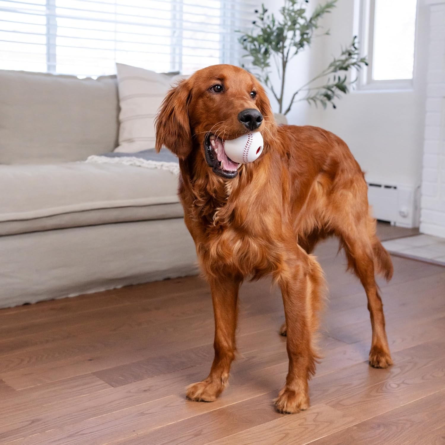 image:imageOutward Hound by Planet Dog Football Durable TreatDispensing Dog Ball Interactive Fetch Toy OrbeeTuff Mint Scented BPAFree for Indoor amp Outdoor Play BrownBaseball