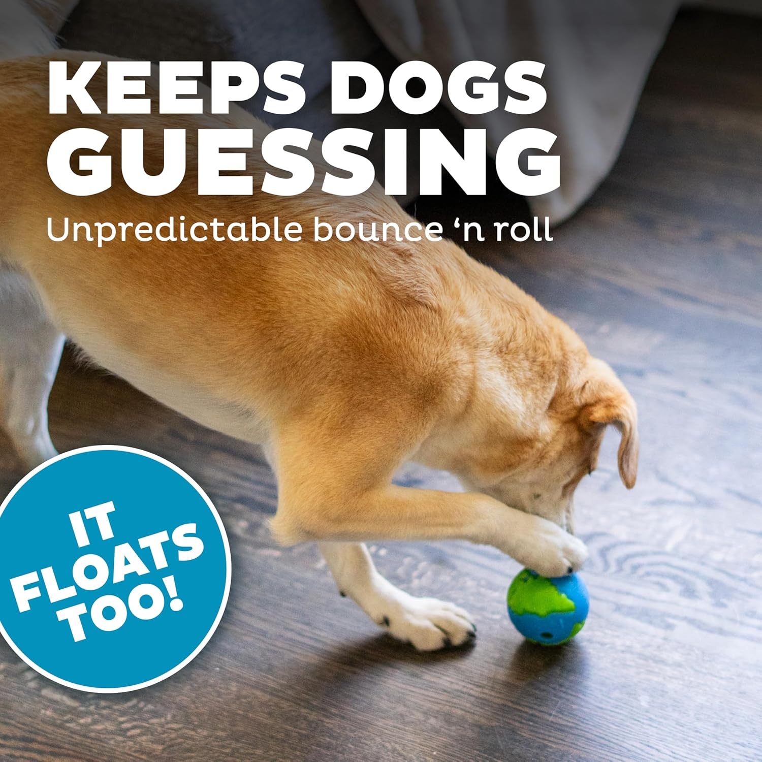 image:imageOutward Hound by Planet Dog OrbeeTuff Planet Ball BlueGreen TreatDispensing Dog Toy Small