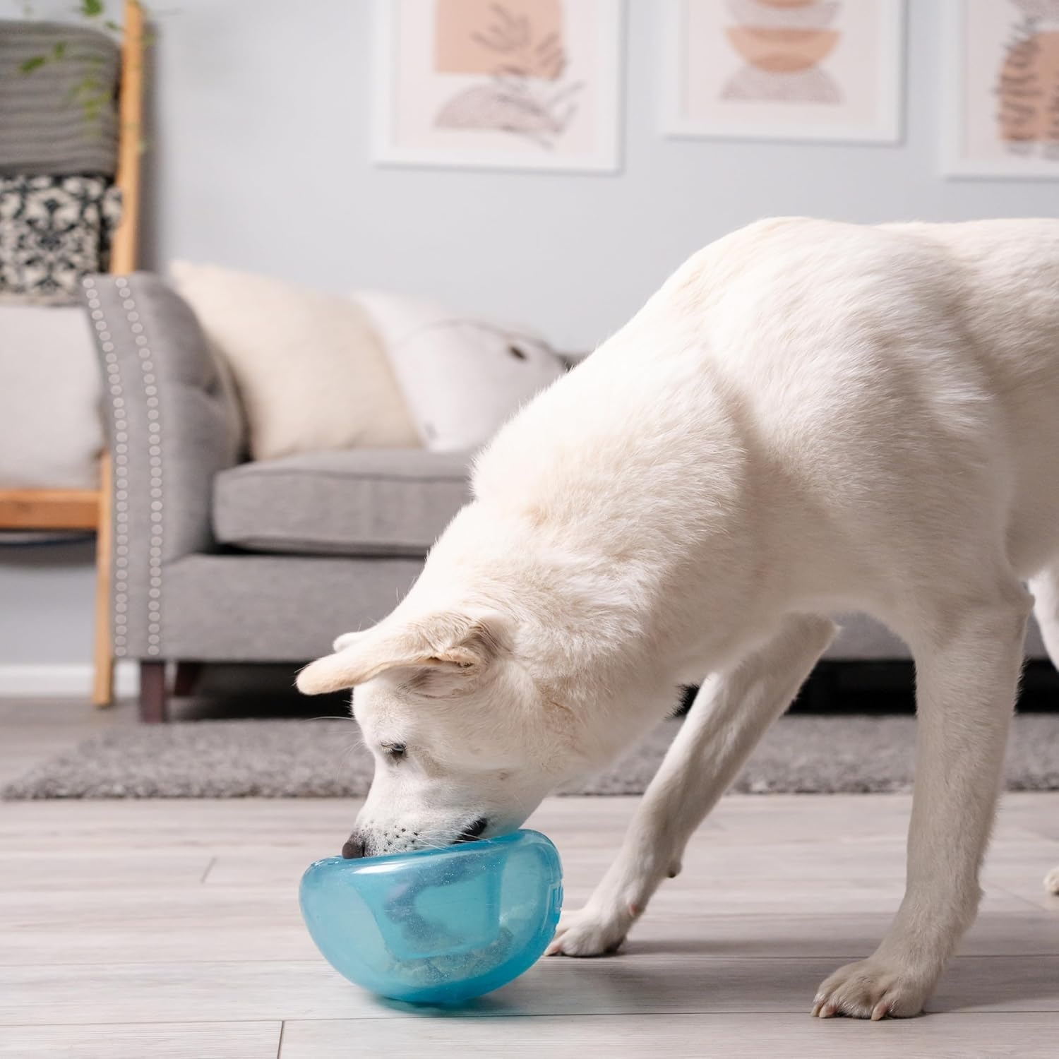 image:imageOutward Hound by Planet Dog Snoop Dog Toy TreatDispenser Puzzle Ball Interactive Slow Feeder Medium to Large Dogs Bouncy amp MintInfused Blue 5Blue