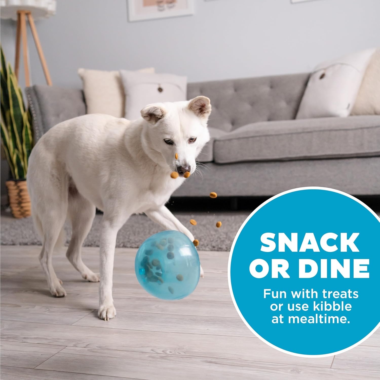 image:imageOutward Hound by Planet Dog Snoop Dog Toy TreatDispenser Puzzle Ball Interactive Slow Feeder Medium to Large Dogs Bouncy amp MintInfused Blue 5Blue