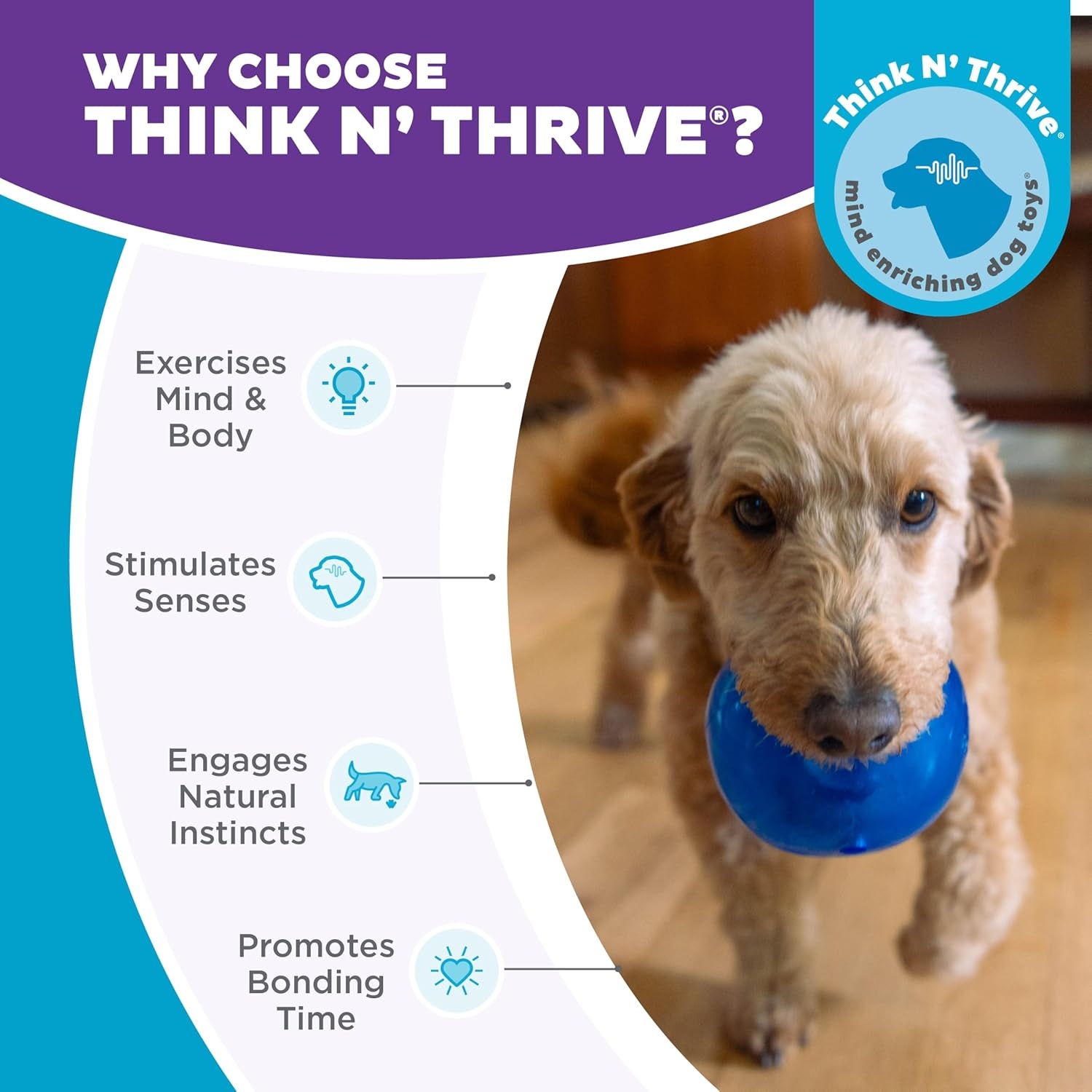 image:imageOutward Hound by Planet Dog Snoop Dog Toy TreatDispenser Puzzle Ball Interactive Slow Feeder Medium to Large Dogs Bouncy amp MintInfused Blue 5Blue Lil Snoop