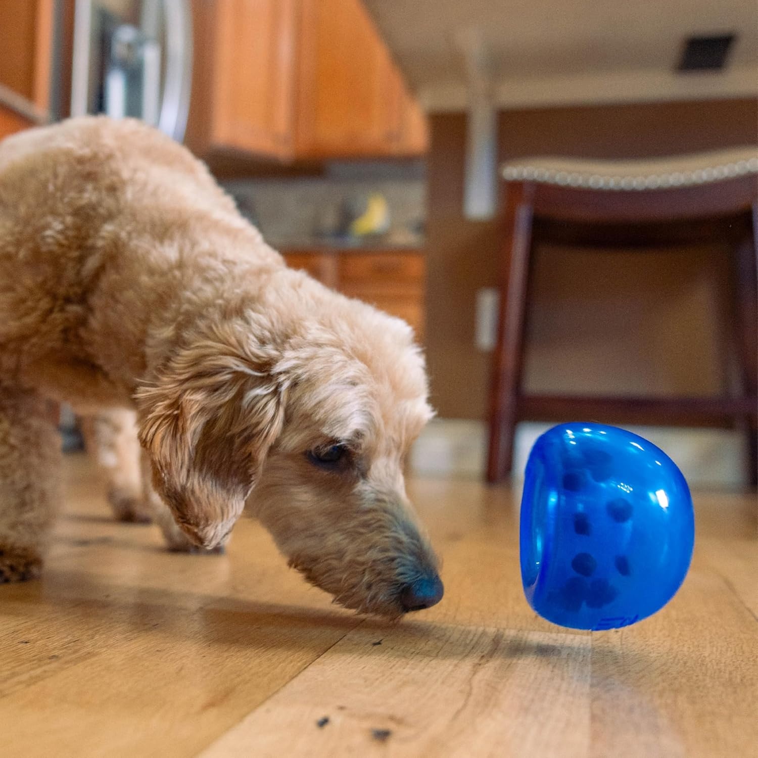 image:imageOutward Hound by Planet Dog Snoop Dog Toy TreatDispenser Puzzle Ball Interactive Slow Feeder Medium to Large Dogs Bouncy amp MintInfused Blue 5Blue Lil Snoop
