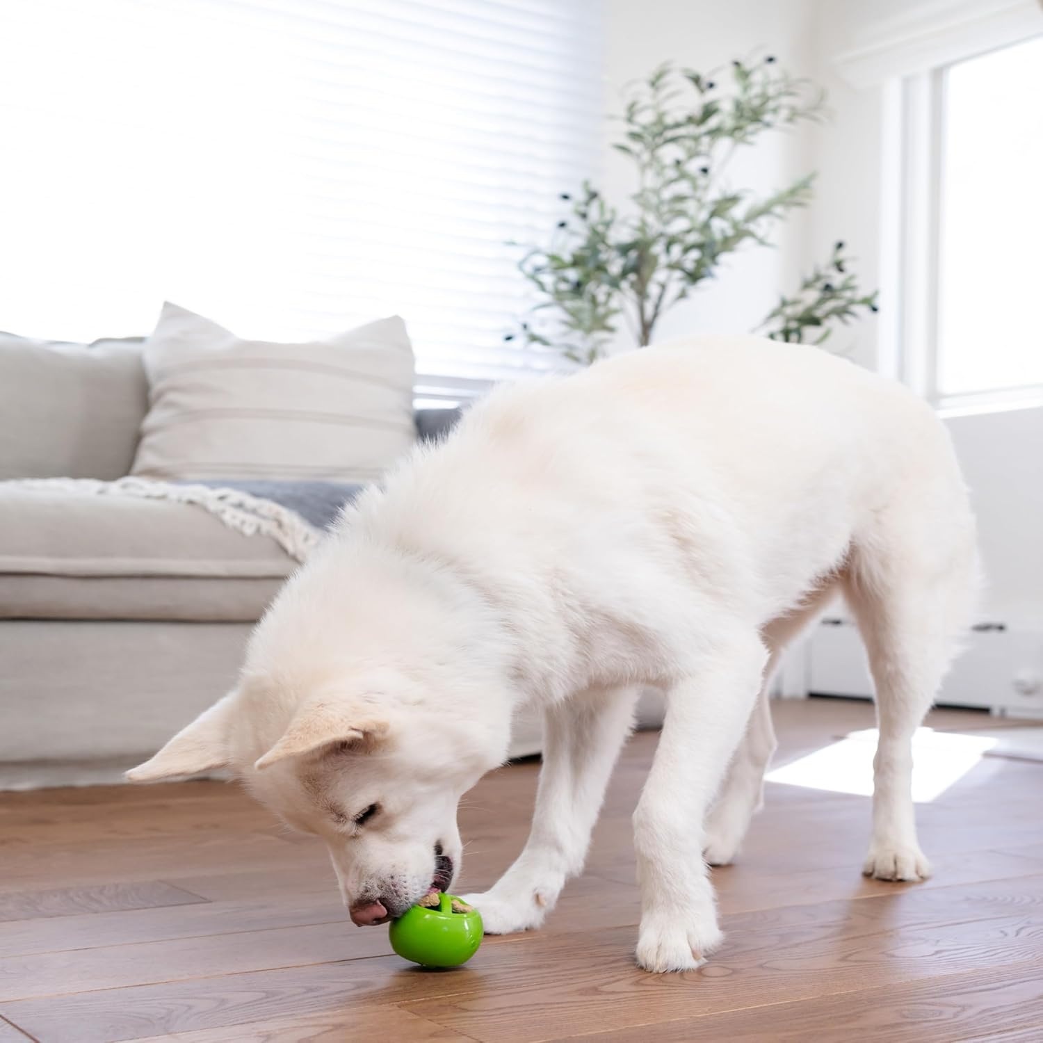 image:imageOutward Hound by Planet Dog Snoop Dog Toy TreatDispenser Puzzle Ball Interactive Slow Feeder Medium to Large Dogs Bouncy amp MintInfused Blue 5Green Nook Works with Large Snoop