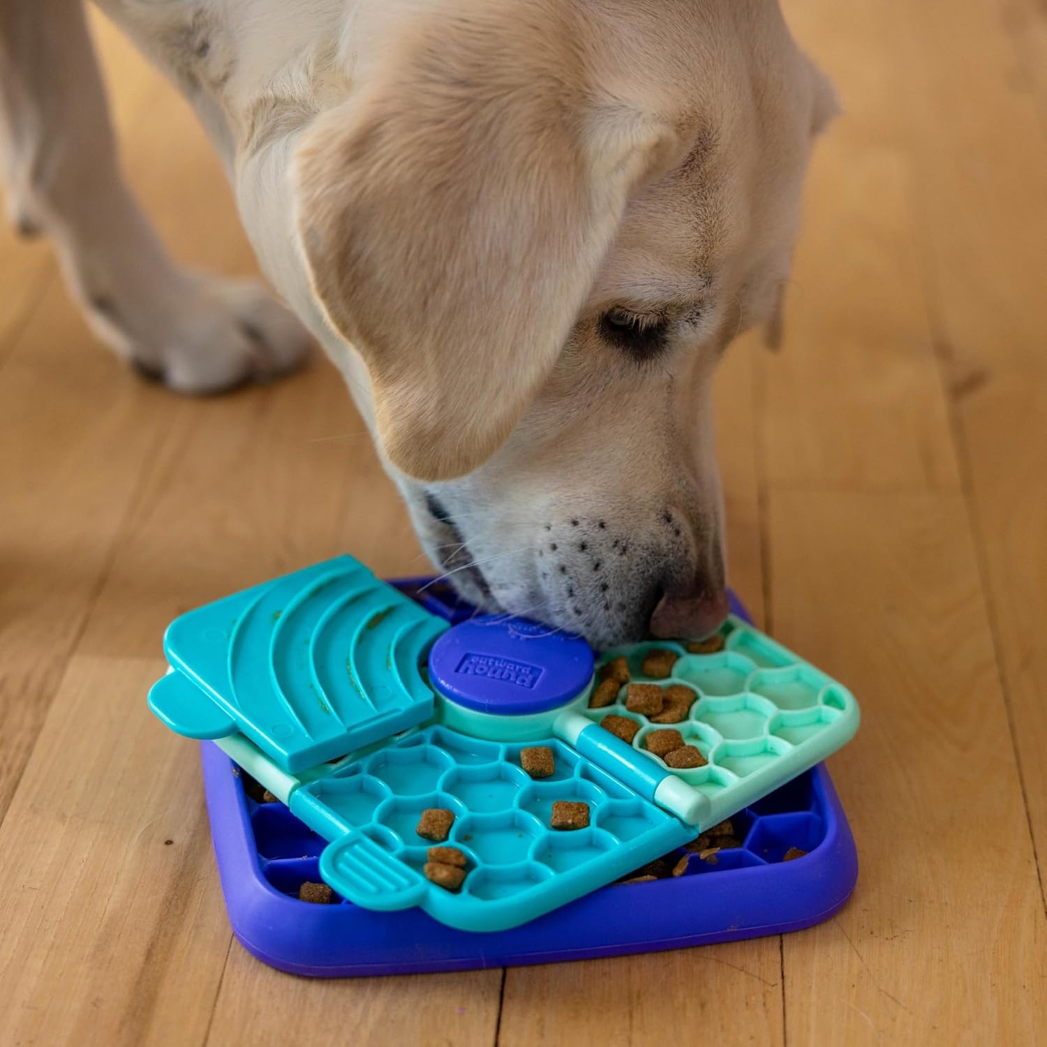 image:imageOutward Hound by Planet Dog Snoop Dog Toy TreatDispenser Puzzle Ball Interactive Slow Feeder Medium to Large Dogs Bouncy amp MintInfused Blue 5Lick N Flip Treat Purple