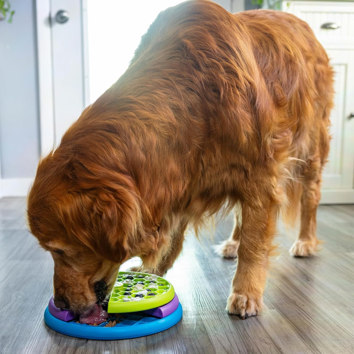 image:imageOutward Hound by Planet Dog Snoop Dog Toy TreatDispenser Puzzle Ball Interactive Slow Feeder Medium to Large Dogs Bouncy amp MintInfused Blue 5Lickin Layers Green Purple Blue