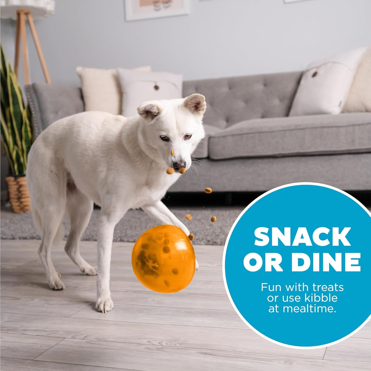 image:imageOutward Hound by Planet Dog Snoop Dog Toy TreatDispenser Puzzle Ball Interactive Slow Feeder Medium to Large Dogs Bouncy amp MintInfused Blue 5Orange