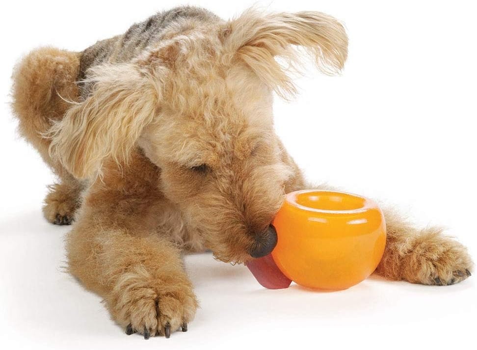 image:imageOutward Hound by Planet Dog Snoop Dog Toy TreatDispenser Puzzle Ball Interactive Slow Feeder Medium to Large Dogs Bouncy amp MintInfused Blue 5Orange
