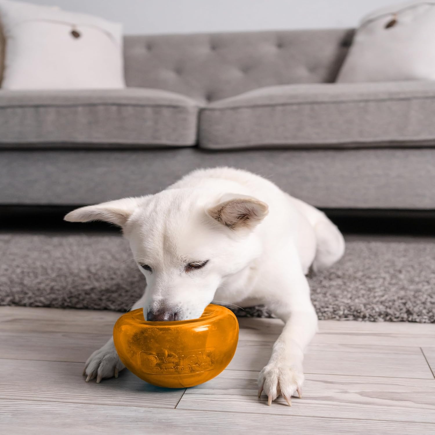 image:imageOutward Hound by Planet Dog Snoop Dog Toy TreatDispenser Puzzle Ball Interactive Slow Feeder Medium to Large Dogs Bouncy amp MintInfused Blue 5Orange