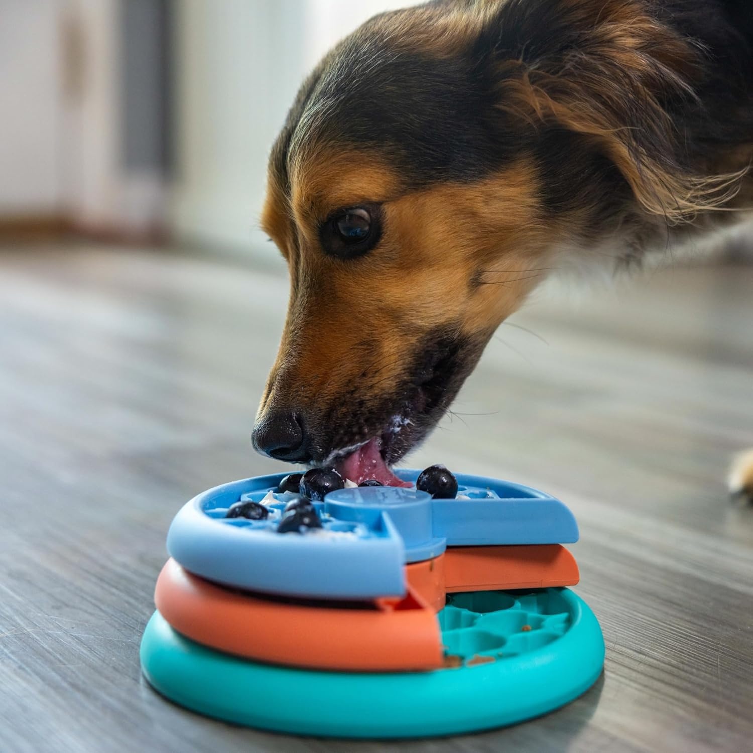 image:imageOutward Hound by Planet Dog Snoop Dog Toy TreatDispenser Puzzle Ball Interactive Slow Feeder Medium to Large Dogs Bouncy amp MintInfused Blue 5Puppy Lickin Layers Blue Green Orange
