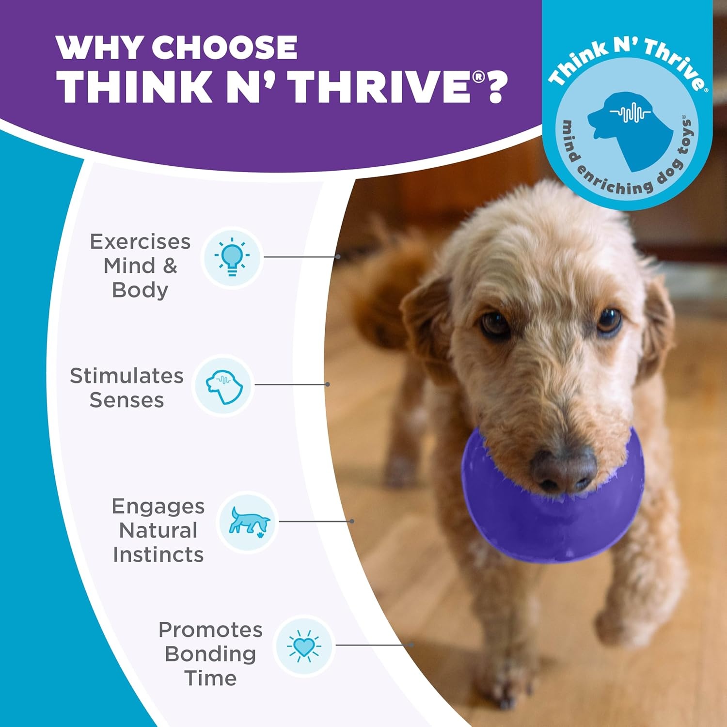 image:imageOutward Hound by Planet Dog Snoop Dog Toy TreatDispenser Puzzle Ball Interactive Slow Feeder Medium to Large Dogs Bouncy amp MintInfused Blue 5Purple Lil Snoop
