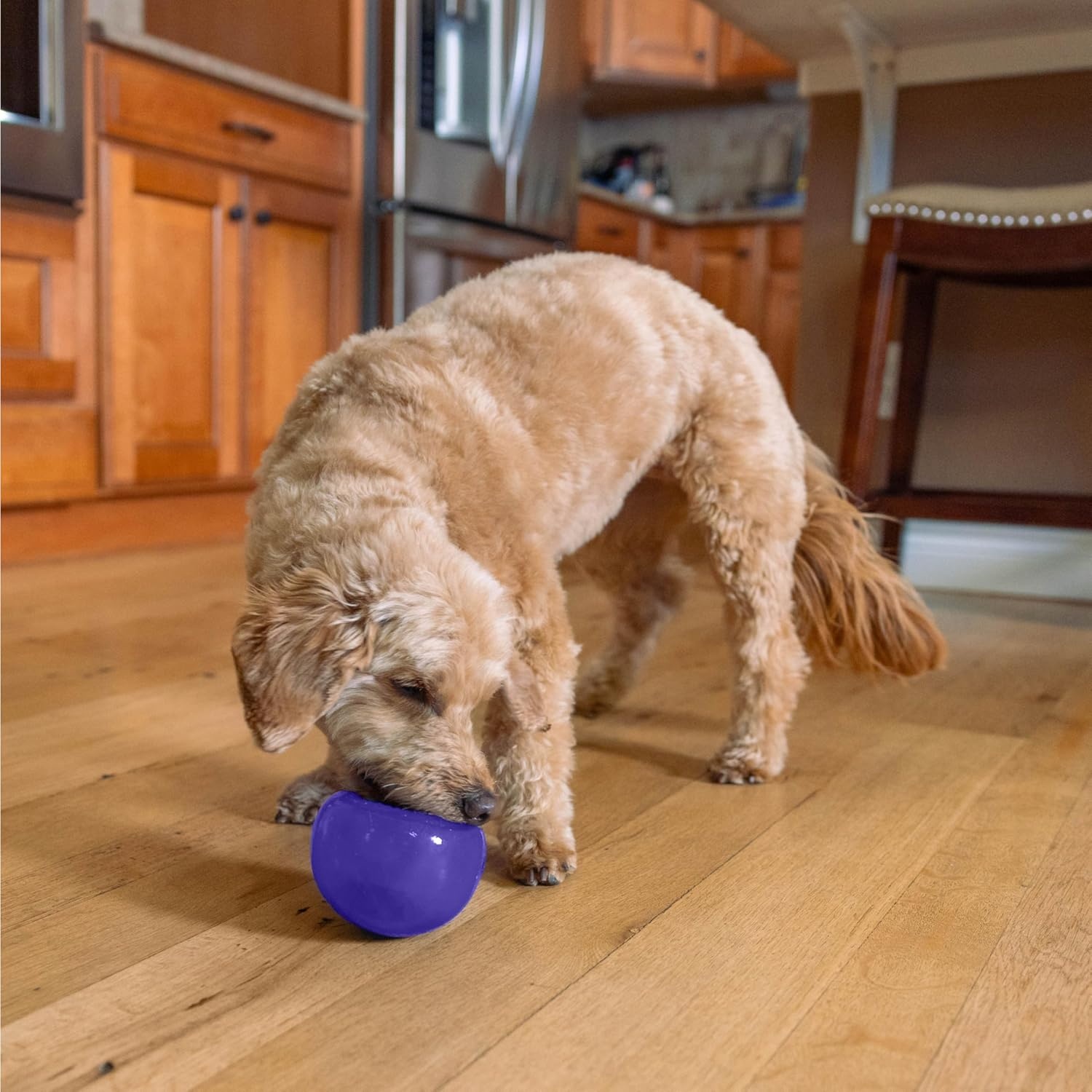 image:imageOutward Hound by Planet Dog Snoop Dog Toy TreatDispenser Puzzle Ball Interactive Slow Feeder Medium to Large Dogs Bouncy amp MintInfused Blue 5Purple Lil Snoop