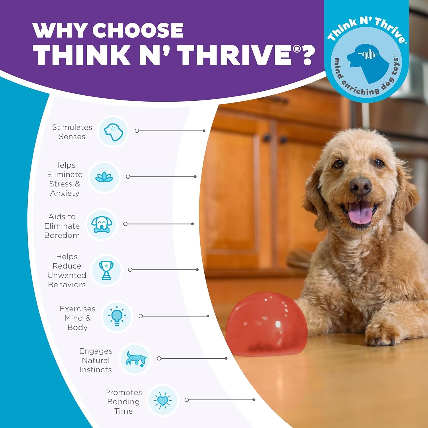 image:imageOutward Hound by Planet Dog Snoop Dog Toy TreatDispenser Puzzle Ball Interactive Slow Feeder Medium to Large Dogs Bouncy amp MintInfused Blue 5Red Lil Snoop