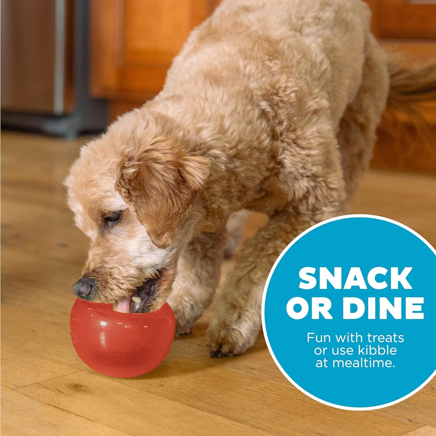 image:imageOutward Hound by Planet Dog Snoop Dog Toy TreatDispenser Puzzle Ball Interactive Slow Feeder Medium to Large Dogs Bouncy amp MintInfused Blue 5Red Lil Snoop