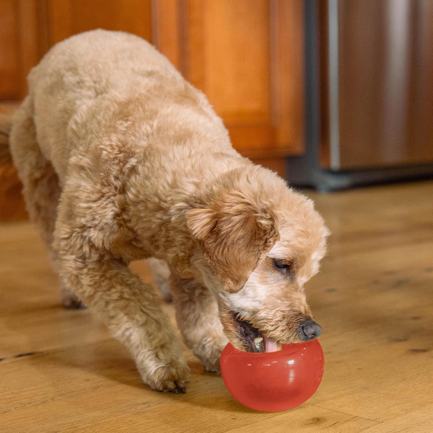 image:imageOutward Hound by Planet Dog Snoop Dog Toy TreatDispenser Puzzle Ball Interactive Slow Feeder Medium to Large Dogs Bouncy amp MintInfused Blue 5Red Lil Snoop