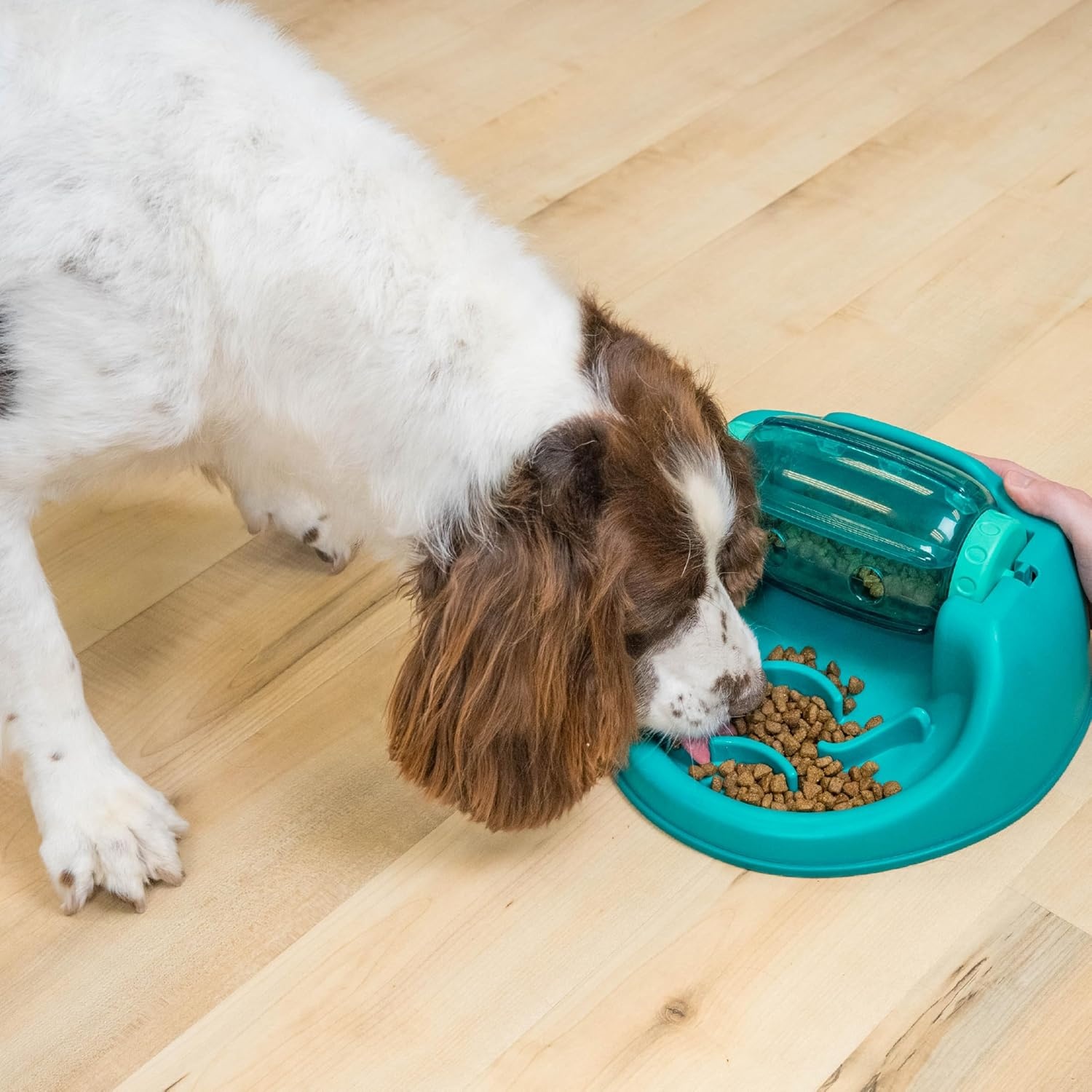 image:imageOutward Hound by Planet Dog Snoop Dog Toy TreatDispenser Puzzle Ball Interactive Slow Feeder Medium to Large Dogs Bouncy amp MintInfused Blue 5Spin N Eat Green