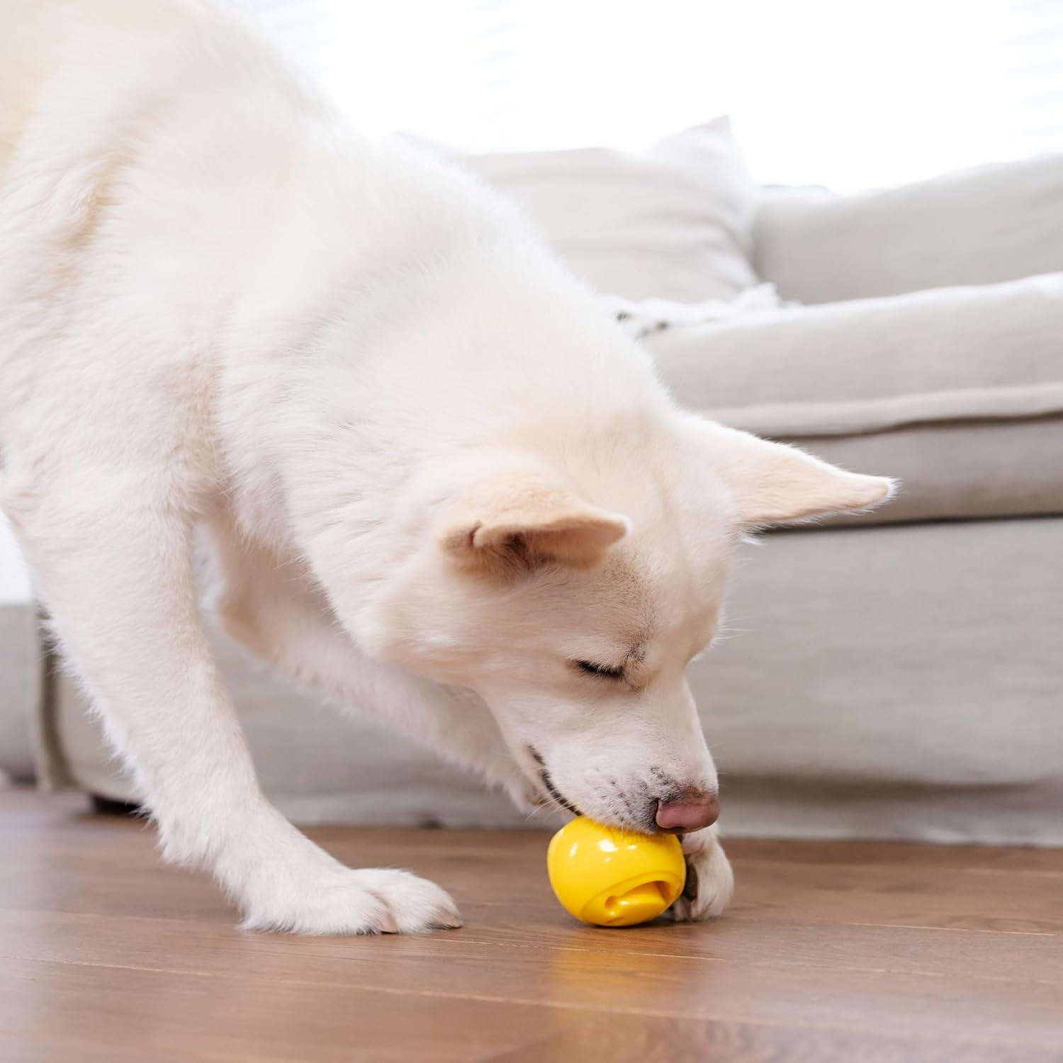 image:imageOutward Hound by Planet Dog Snoop Dog Toy TreatDispenser Puzzle Ball Interactive Slow Feeder Medium to Large Dogs Bouncy amp MintInfused Blue 5Yellow Nook Works with Large Snoop