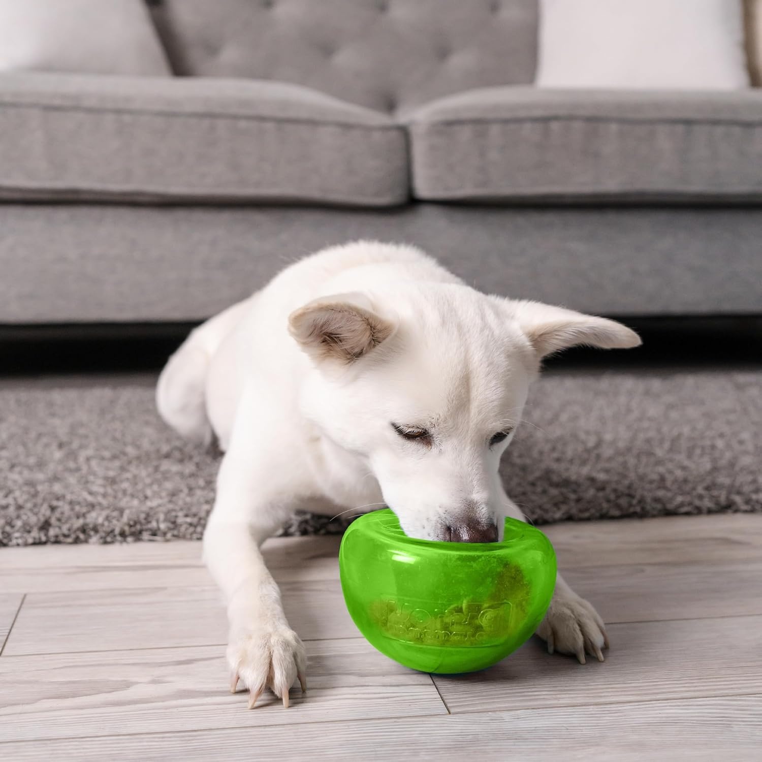 image:imageOutward Hound by Planet Dog Snoop Dog Toy TreatDispenser Puzzle Ball Interactive Slow Feeder Medium to Large Dogs Bouncy amp MintInfused Green 5Green Large Snoop