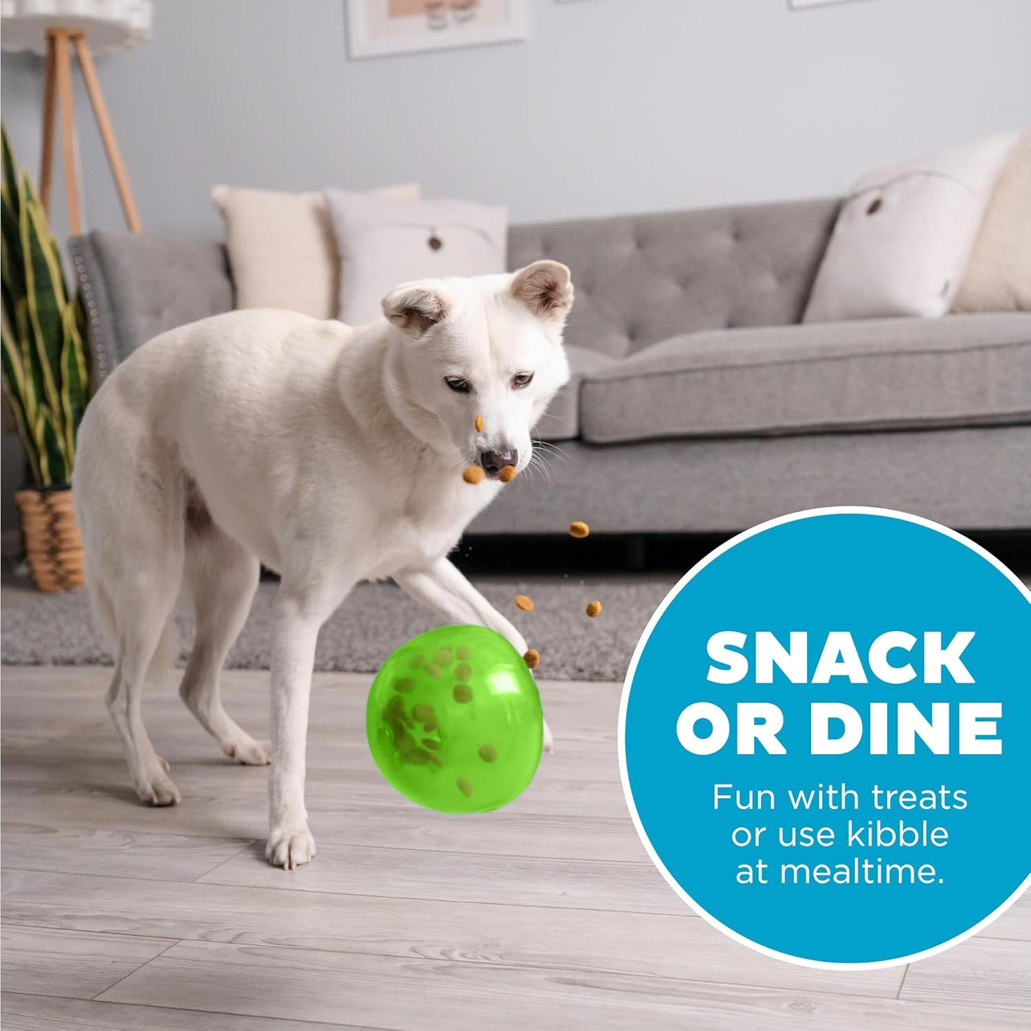 image:imageOutward Hound by Planet Dog Snoop Dog Toy TreatDispenser Puzzle Ball Interactive Slow Feeder Medium to Large Dogs Bouncy amp MintInfused Green 5Green Large Snoop