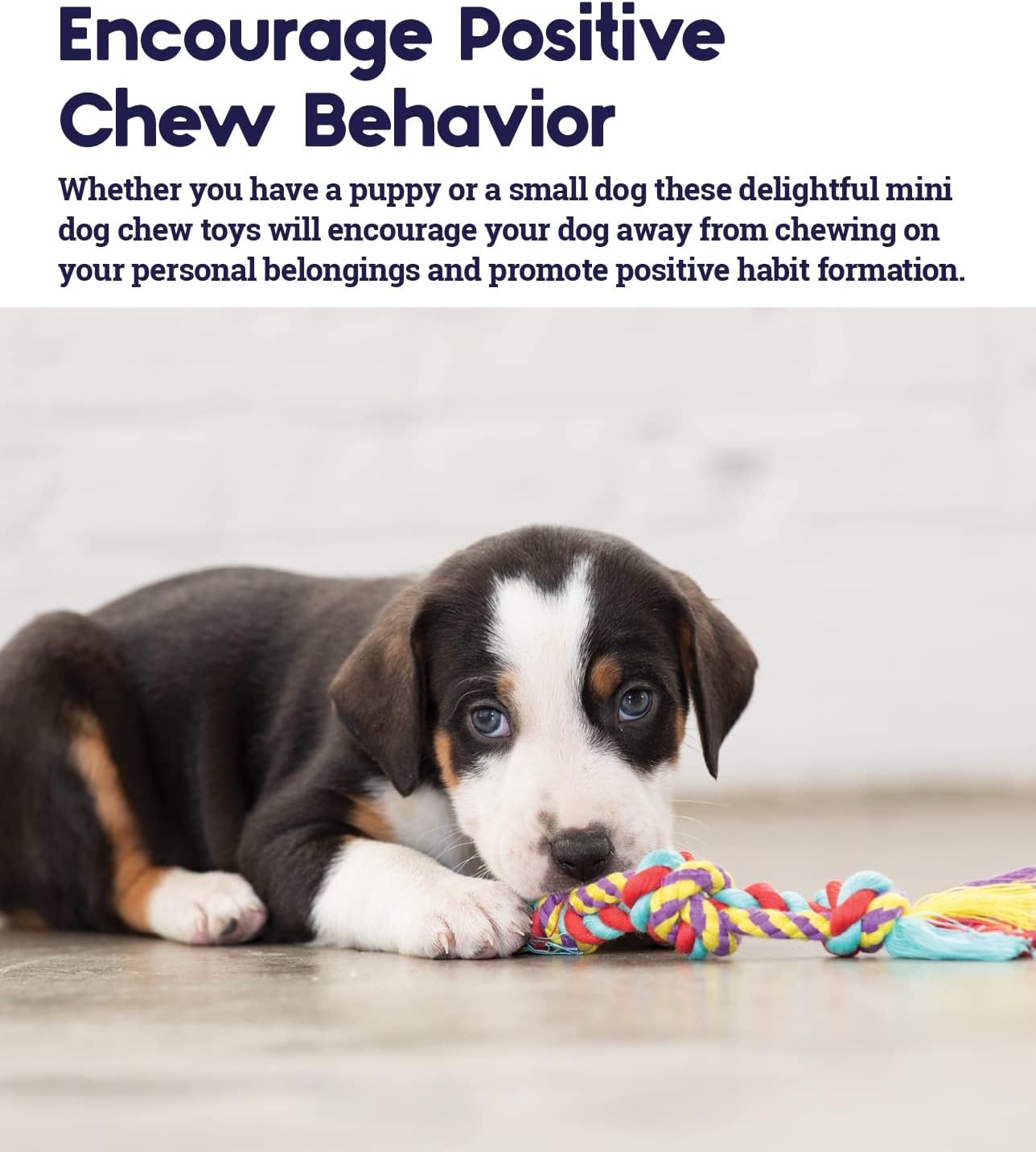 image:imagePetstages Mini Bone Tug Puppy Chew ToyDental Chew 3 Pk