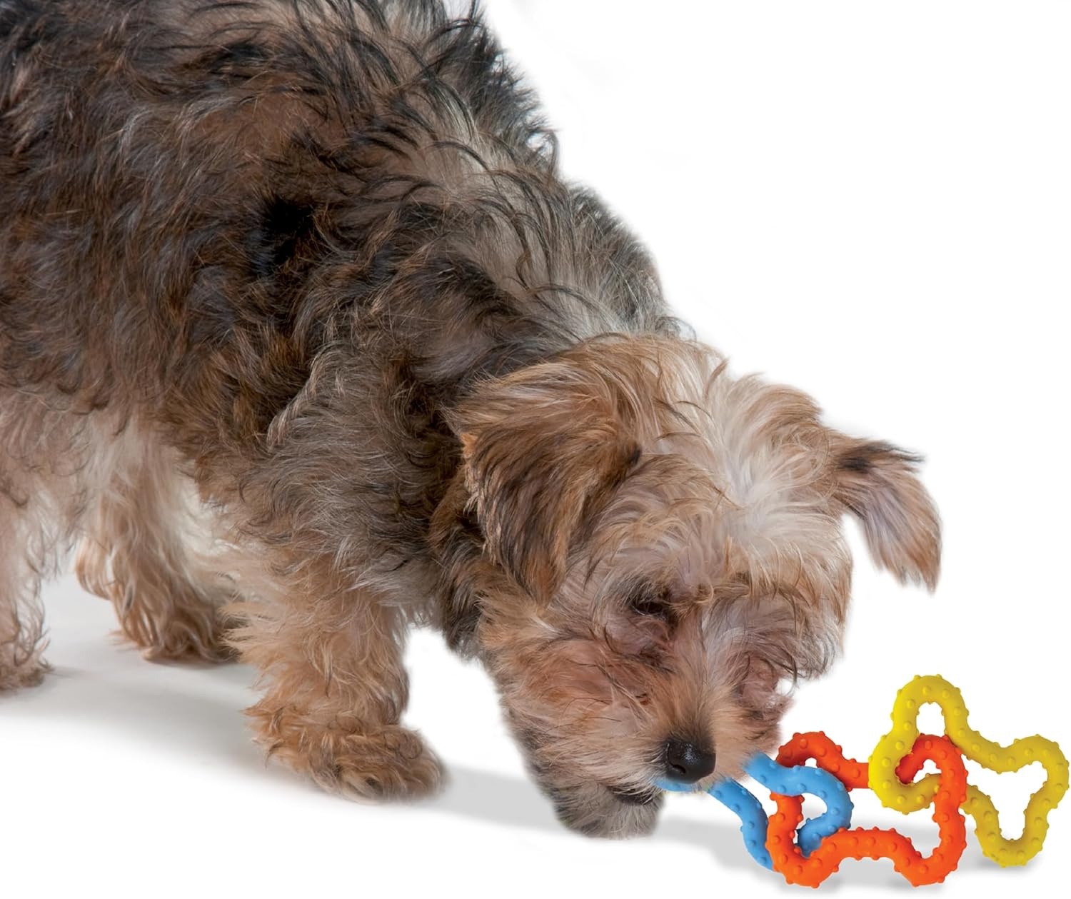 image:imagePetstages Mini Bone Tug Puppy Chew ToyMini Bone Tug