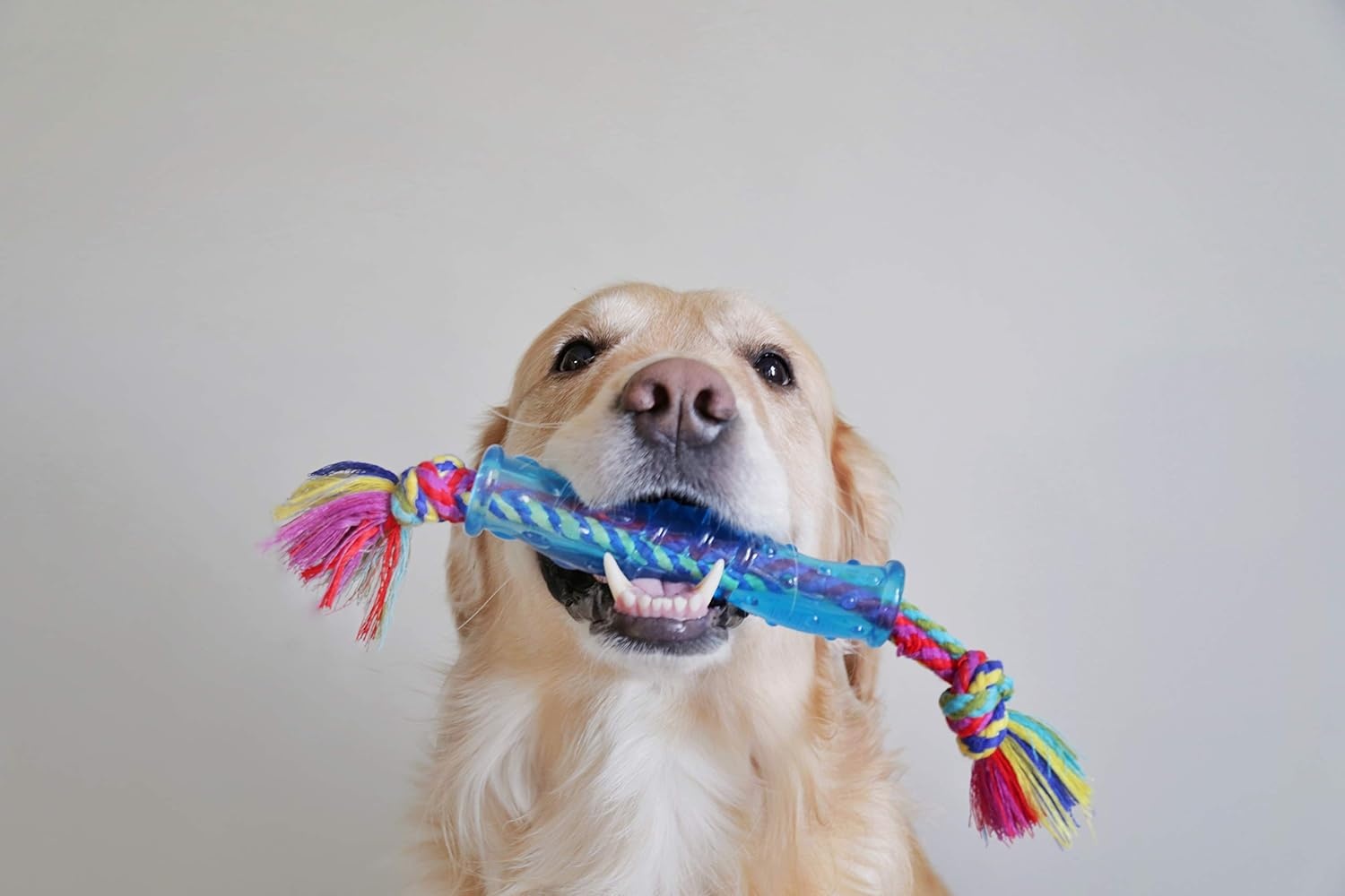 image:imagePetstages Orka Stick Alternative Dog Chew ToyStick