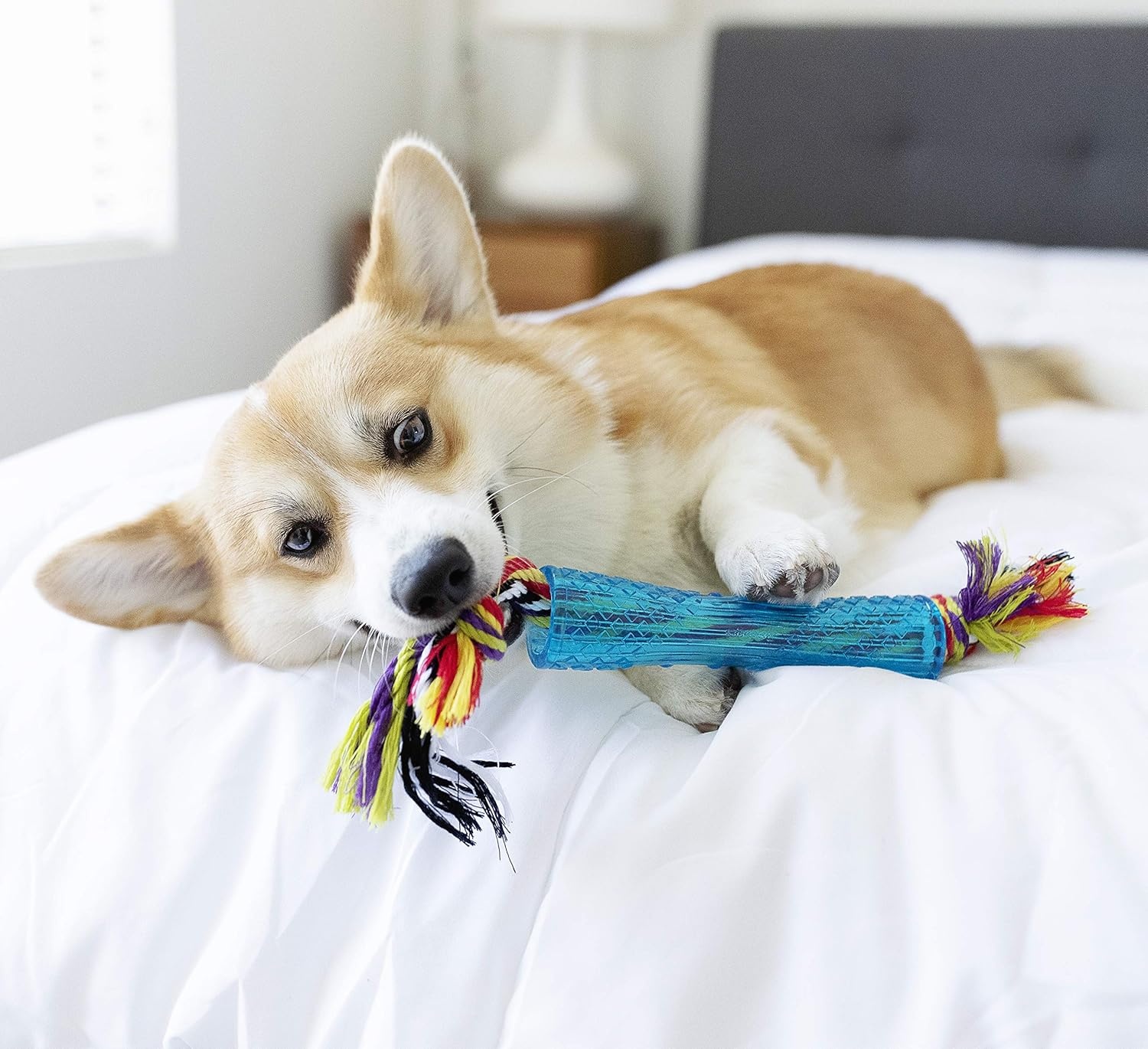 image:imagePetstages Orka Stick Alternative Dog Chew ToyStick