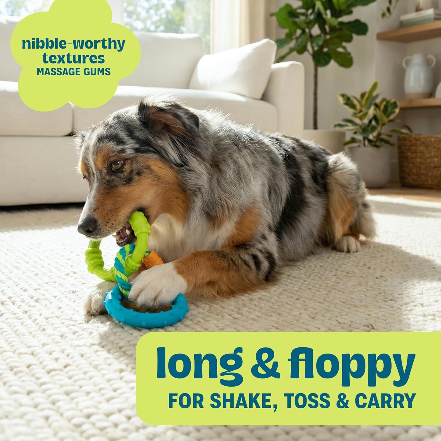 image:imagePupstages Dental Links Dog Chew Toy for Teething Puppies amp Small Dogs up to 30 lbs Floatable amp Textured Ring amp Rope Tug Dental Support Moderate Chewers 85
