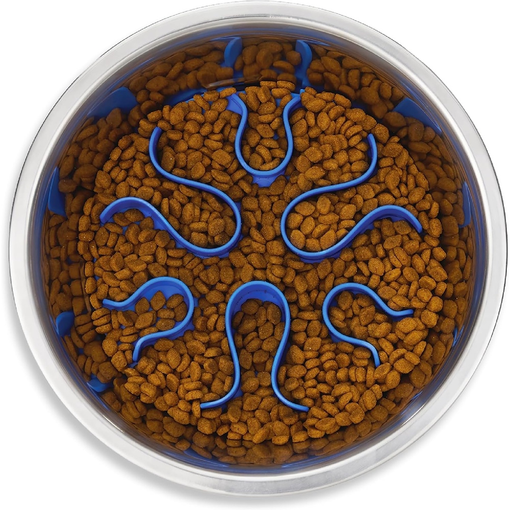 image:imageOutward Hound Medium Slow Feeder Bowl Puzzle Maze for Fast Eaters Small to Medium Dogs Helps Prevent Bloat amp Aid Digestion Holds 2 Cups Wet or Dry Food NonSlip Made Without BPA SageStainless Steel