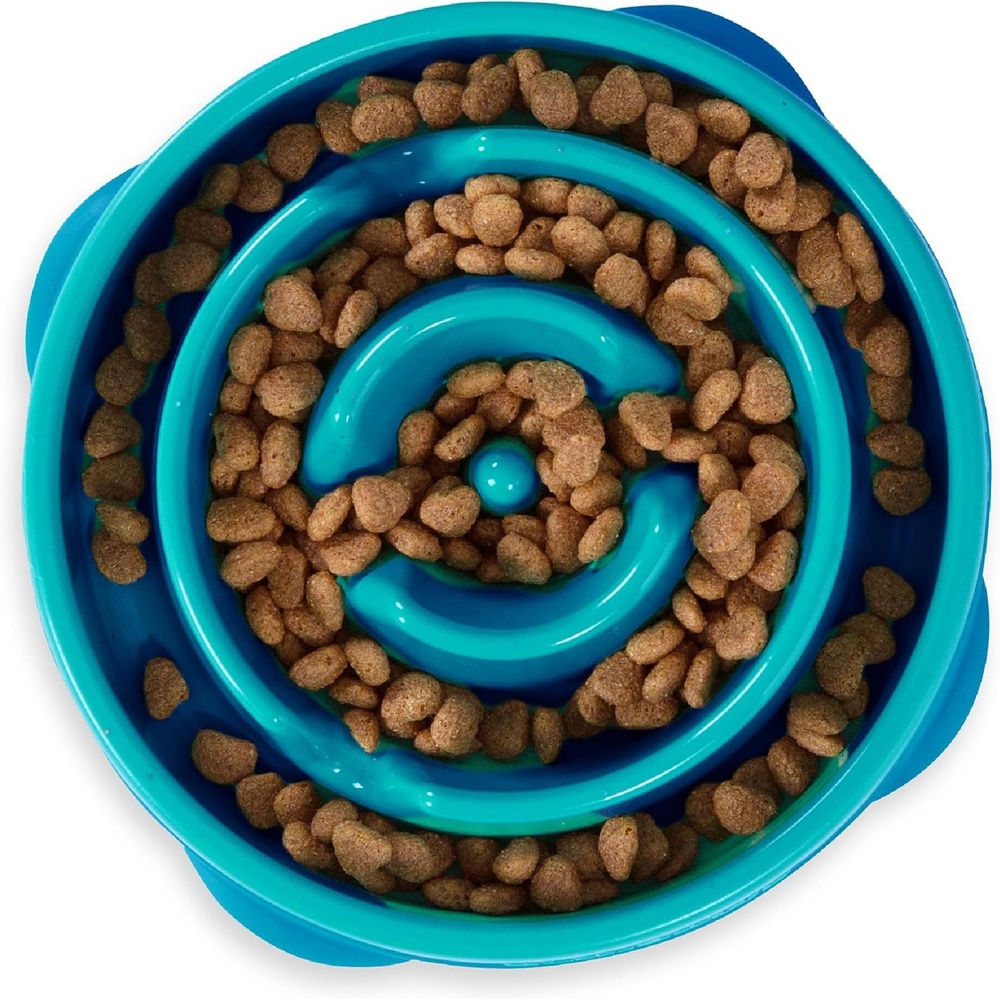 image:imageOutward Hound Medium Slow Feeder Bowl Puzzle Maze for Fast Eaters Small to Medium Dogs Helps Prevent Bloat amp Aid Digestion Holds 2 Cups Wet or Dry Food NonSlip Made Without BPA SageTurquoise