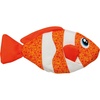 Orange Clownfish