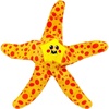 Orange Starfish
