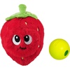 Fruit
