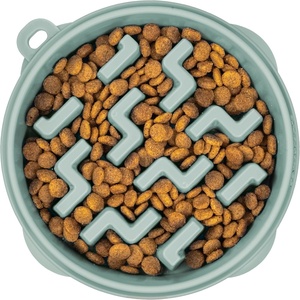 image:imageOutward Hound Medium Slow Feeder Bowl Puzzle Maze for Fast Eaters Small to Medium Dogs Helps Prevent Bloat amp Aid Digestion Holds 2 Cups Wet or Dry Food NonSlip Made Without BPA SageSage