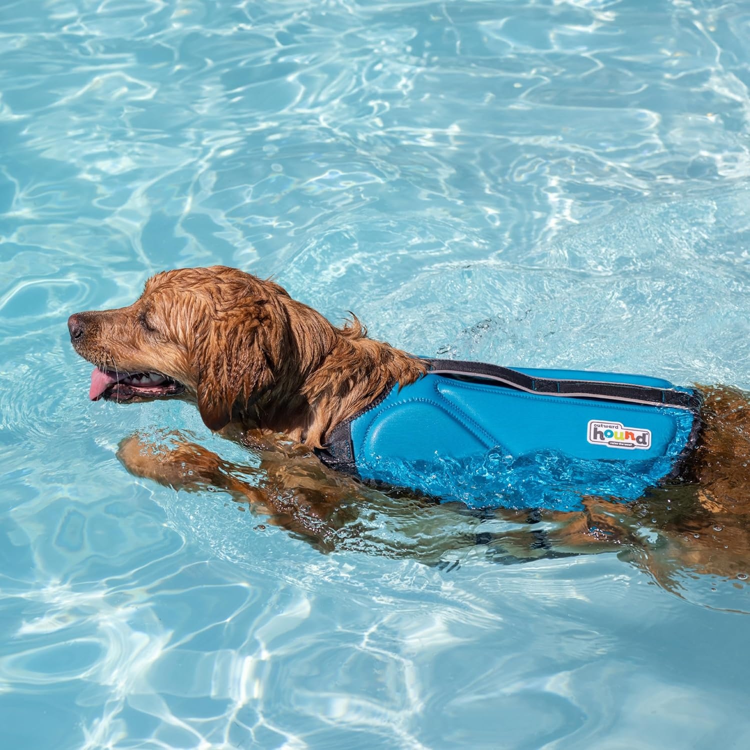image:imageOutward Hound Dawson Swim Dog Life Jacket HighPerformance Neoprene Dog Life Vest for Swimming Boating and Water Safety Medium BlueBlue