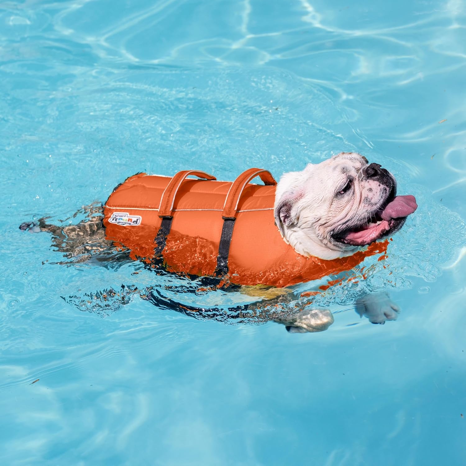 image:imageOutward Hound Dawson Swim Dog Life Jacket HighPerformance Neoprene Dog Life Vest for Swimming Boating and Water Safety Medium BlueCamo