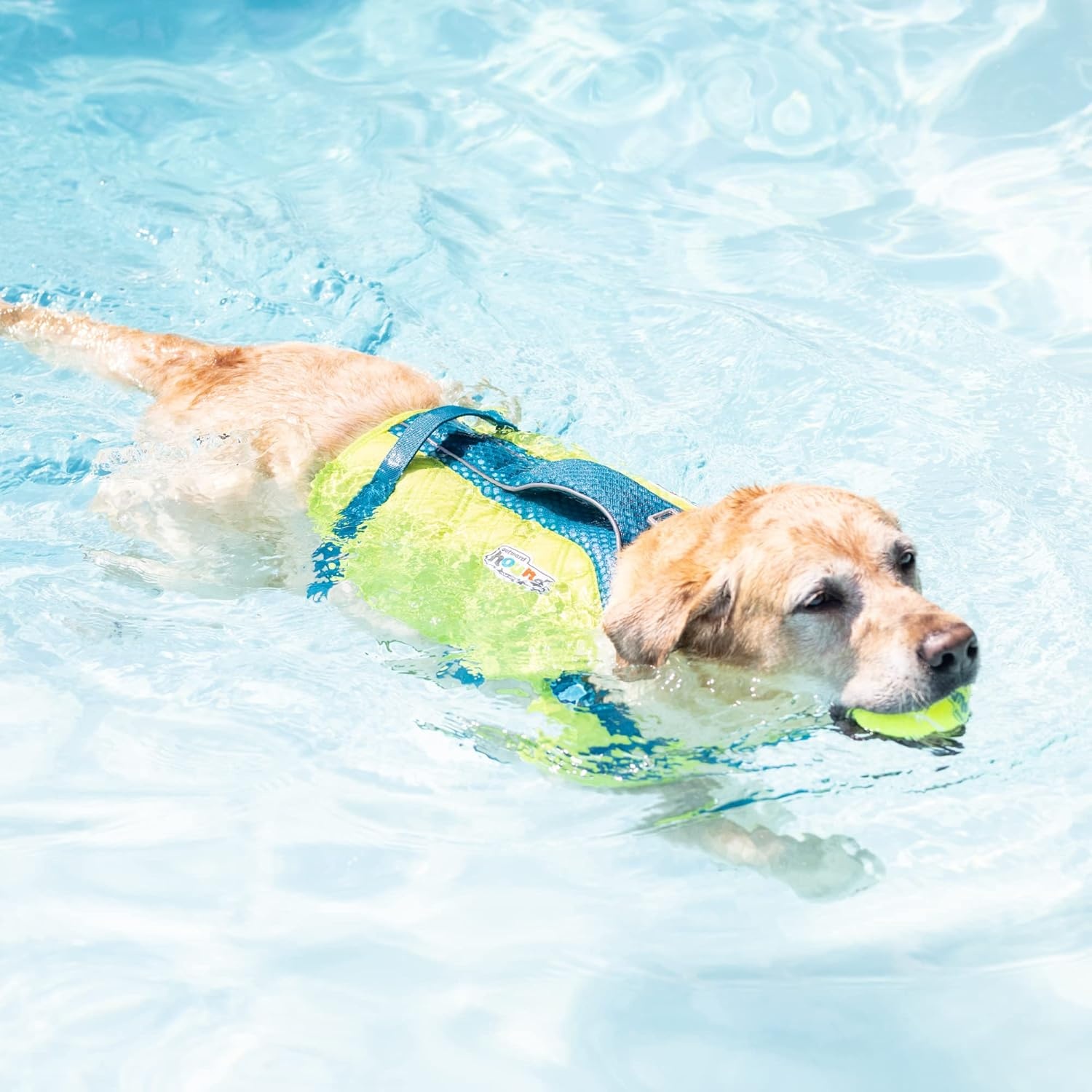 image:imageOutward Hound Dawson Swim Green Dog Life Jacket MediumGreen Standley