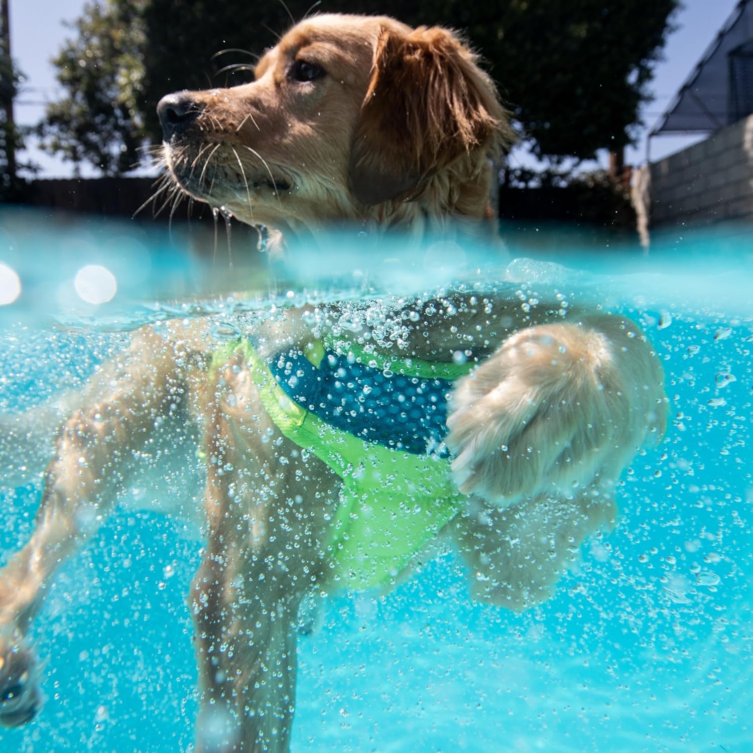 image:imageOutward Hound Dawson Swim Green Dog Life Jacket MediumGreen Standley